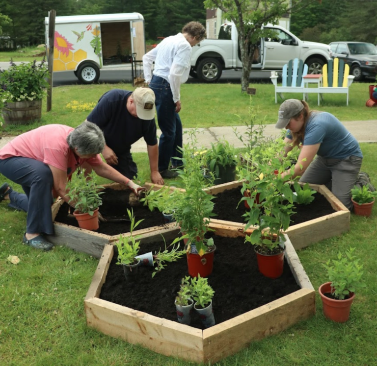 Eleven New Community Pollinator Gardens for Summer 2021