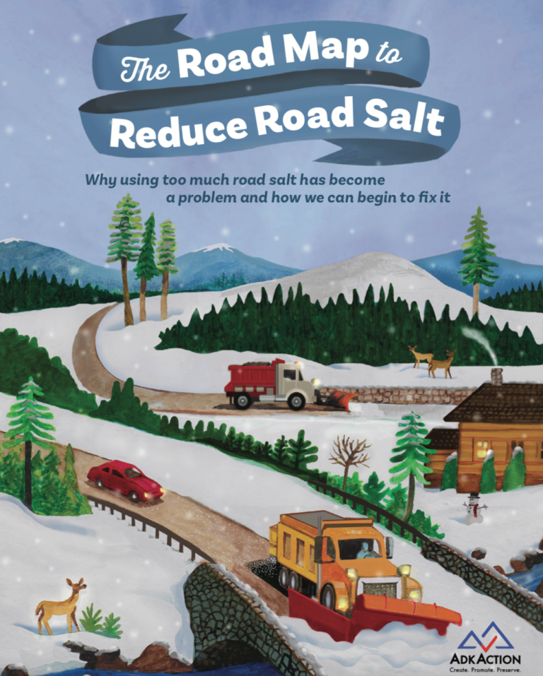 Roadmap to Reduce Road Salt