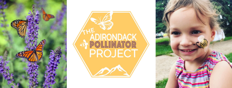 Pollinator Garden Applications Open Now!