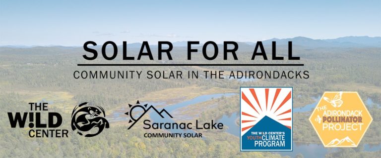 Saranac Lake Community Solar Partnering with AdkAction on Pollinator-Friendly Initiatives