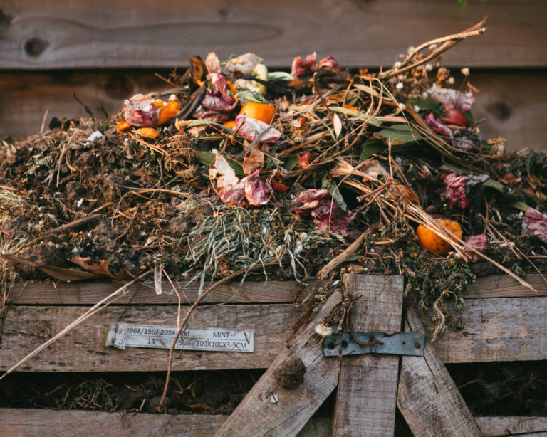 Yes, In My Backyard: Composting Within the Adirondack Park