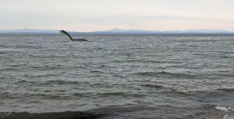 Deleterious effects of road salt on Lake Champlain’s resident cryptid, Champ