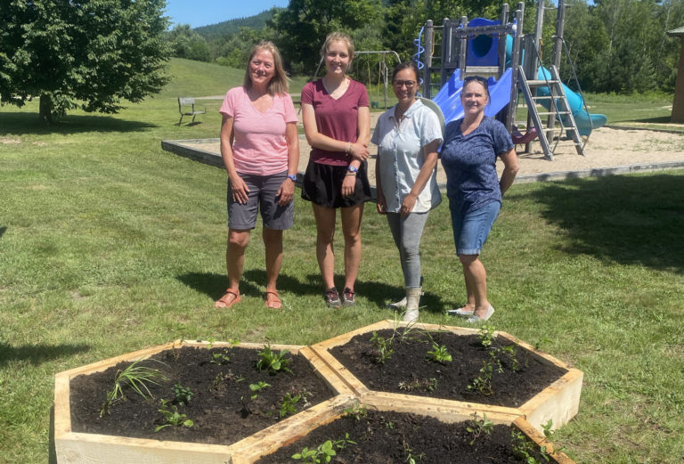 A Playground for Pollinators