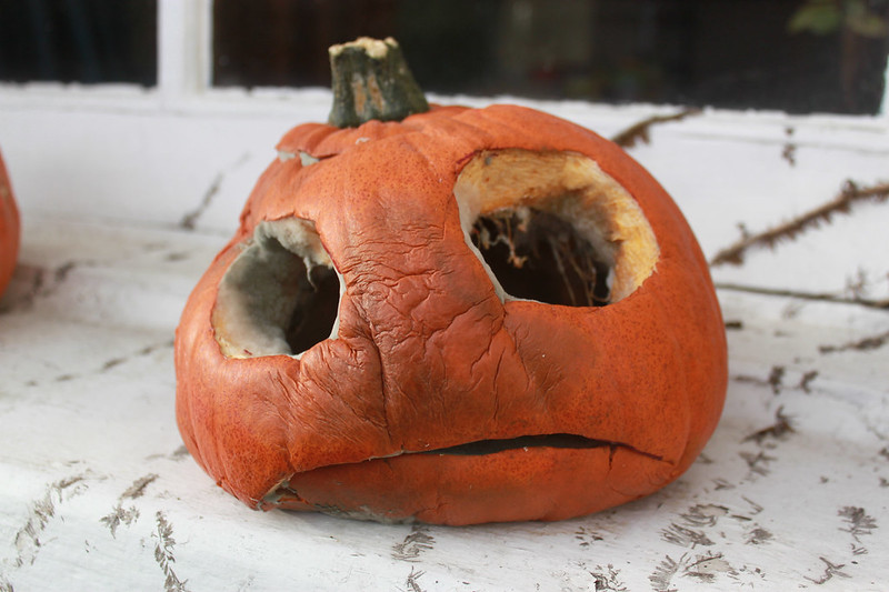 Rotten pumpkin _ Andy Hay _ Flickr