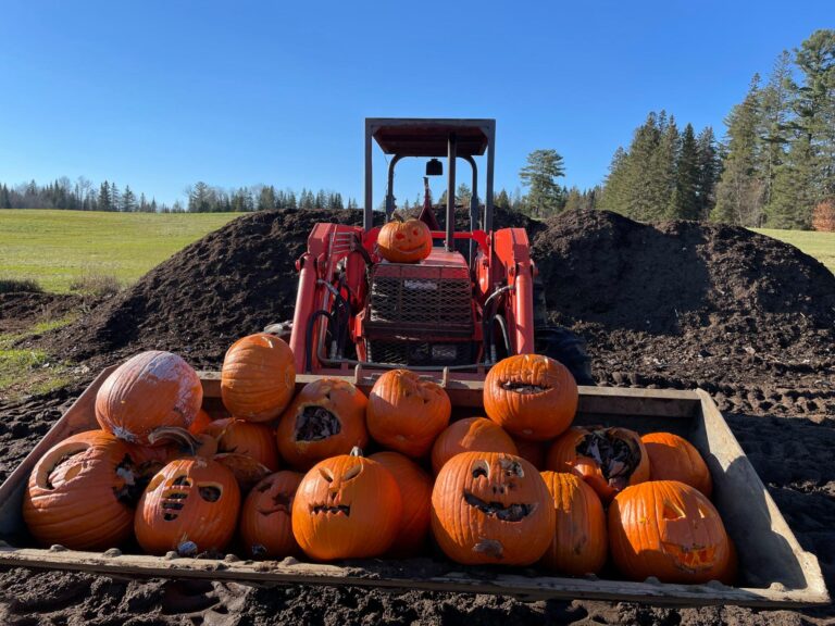 Compost for Good 2022 Pumpkin Composting Events