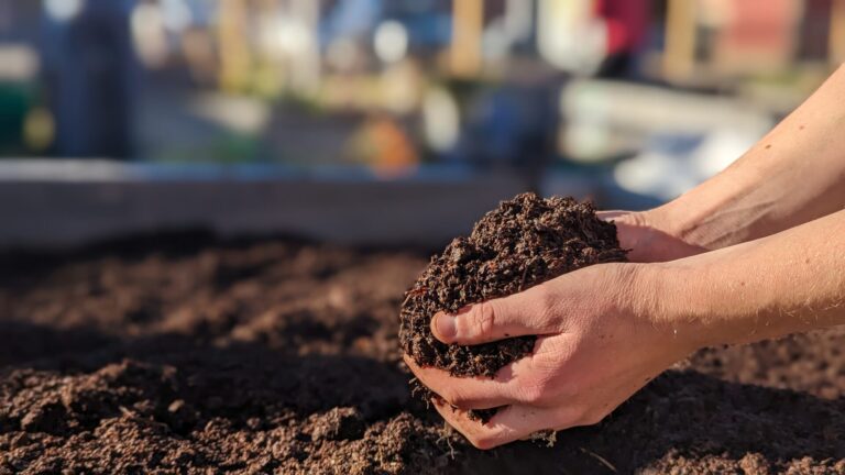 Using compost to improve your landscape’s microbiome